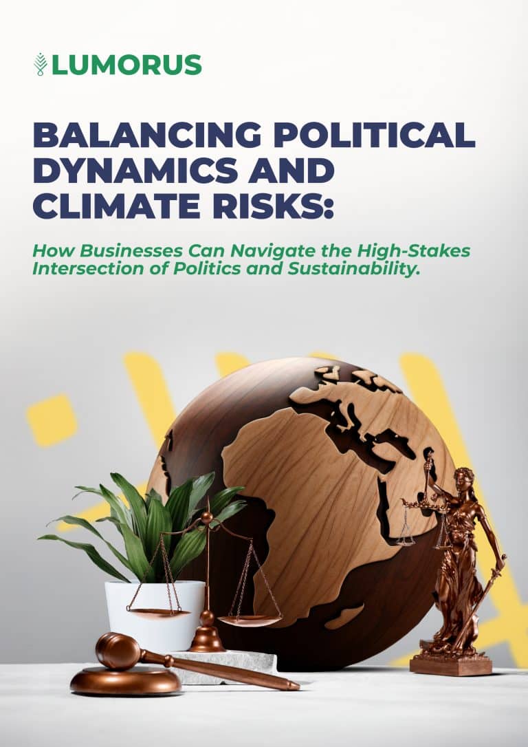 Balancing Political Dynamics and Climate Risks: How Businesses Can ...