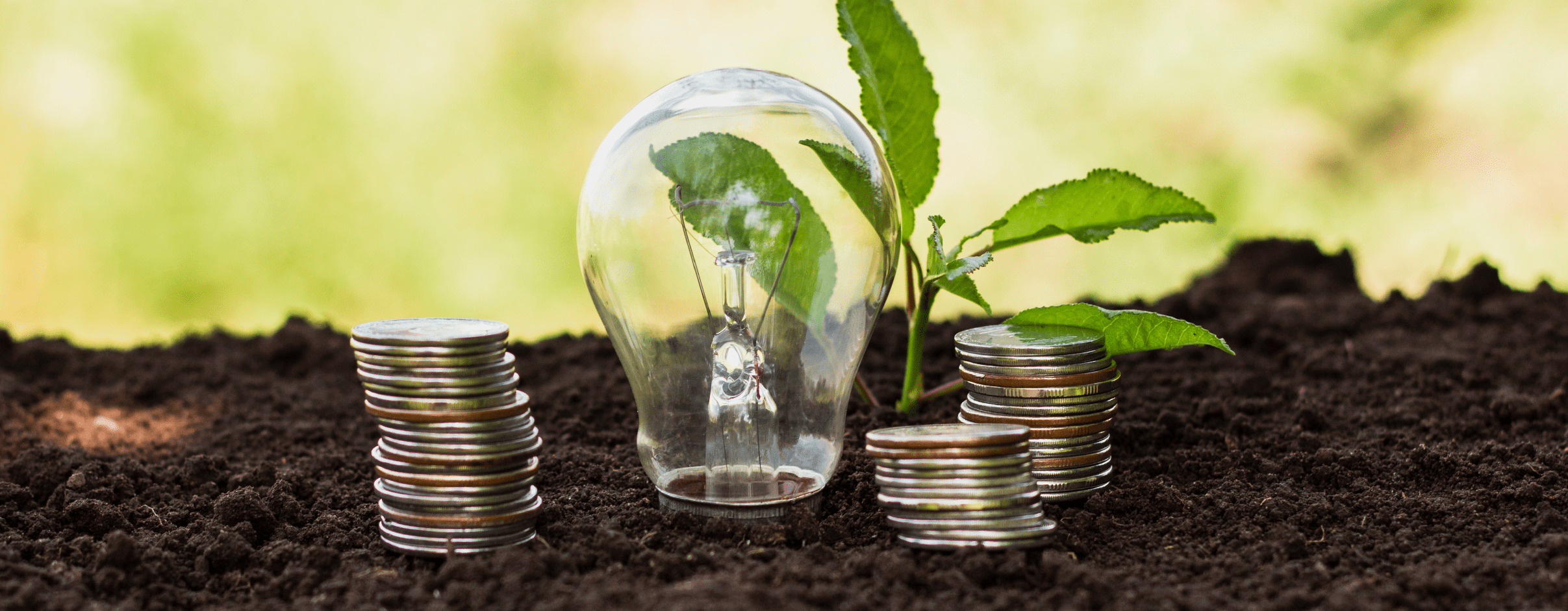 Sustainable finance concept image